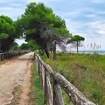 Relaxing Oasis With Pool And Garden Bibione